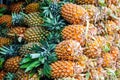 Pineapples group sale on fruit market