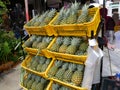 Pineapples that have been picked are displayed for sale.