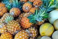 Pineapples and honeydews Royalty Free Stock Photo