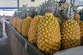 Pineapples on a local market in Nadi, Fiji Royalty Free Stock Photo