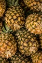 Pineapples on the market