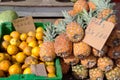 Pineapples and Oranges for Sale at Fruit Stand Royalty Free Stock Photo