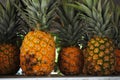 Pineapples Royalty Free Stock Photo