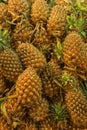 Fresh pineapple in the market Royalty Free Stock Photo