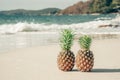 Pineapples by the sea. Ripe pineapples on a sandy tropical beach with blue sea and sky. Summer leisure and summer Royalty Free Stock Photo