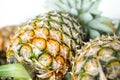 Pineapples on table,so sweet.Group of objects fruit. Royalty Free Stock Photo