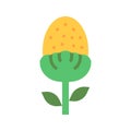 Pineappleweed Icon Image. Royalty Free Stock Photo