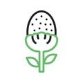 Pineappleweed Icon Image. Royalty Free Stock Photo