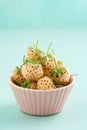 Pineberries in a bowl Royalty Free Stock Photo
