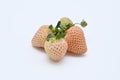 pineberry ripe berries on white background close-up Royalty Free Stock Photo