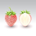 Pineberry white strawberry and a half of white strawberry, fruit, transparent, Vector