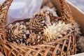 Pinecone in the basket group background xmas macro composition