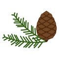 Pinecone icon. A branch of pine from coniferous forests.