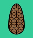 Pinecone  isolated. Wood cone sign vector illustration Royalty Free Stock Photo