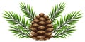 Pinecone with pine leaves on white background