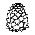 Pinecone Pine Lump Isolated On a White Background Doodle Cartoon Hand Drawn Sketch Vector.