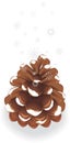 Pinecone with snow