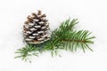 Pinecone In The Snow Royalty Free Stock Photo