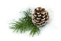 Pinecone In The Snow Royalty Free Stock Photo