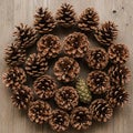 Pinecones arranged in a circular pattern Royalty Free Stock Photo