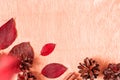 Pinecones and autumn leaf on wooden background. Royalty Free Stock Photo