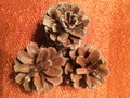 3 pinecones on orange fabric
