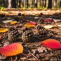 Pinecones rest on a forest floor surrounded by fallen autumn leaves in Royalty Free Stock Photo