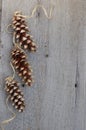 Pinecones with twine ribbon on rustic wooden background with copy space