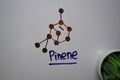 Pinene is a bicyclic molecule write on the white board. Structural chemical formula. Education concept Royalty Free Stock Photo