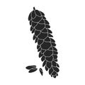 Pineof cone vector icon.Black vector icon isolated on white background pine of cone. Royalty Free Stock Photo