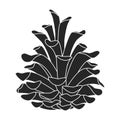 Pineof cone vector icon.Black vector icon isolated on white background pine of cone. Royalty Free Stock Photo