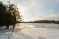 Pines in the backlight of the setting sun. Spring time on a forest lake with melting ice and snow. Textured snow with animal Royalty Free Stock Photo