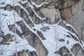Pines and birces on snow-covered rock in winter Royalty Free Stock Photo