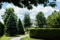 Pines and bushes on grass near walkway and white building in park