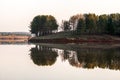 Pines at coast reflected in a pond Royalty Free Stock Photo