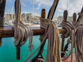 Pines with fixed running rigging. An old sailing ship