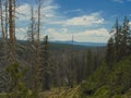 Bright Blue Sky with Fluffy Clouds over a Ghost Forest