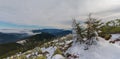 Pines and gorgan covered with snow at the top of the mountain Royalty Free Stock Photo