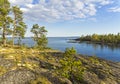 Pines on the granite slope on the shore of Ladoga Lake, Karelia, Russia. Royalty Free Stock Photo