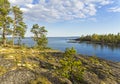 Pines on the granite slope on the shore of Ladoga Lake, Karelia, Russia.