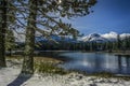 Pines and Lassen Peak after snow storm, Manzanita Lake, Lassen Volcanic National Park Royalty Free Stock Photo