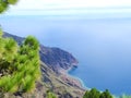 Pines, Ocean, Mountains and Horizont with clear coulours Royalty Free Stock Photo