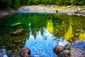 Pines are reflected on a small alpine lake Royalty Free Stock Photo