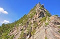 Pines on the rock. kazakhstan. kokshetau rid