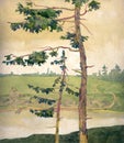 The pines on the shore