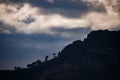 Pines silhouetted under iridescent clouds Royalty Free Stock Photo