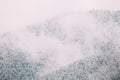 Pines And Spruces, Fir-trees Covered First Snow. Forest Growing On Rocky Slope Of Mountains. Misty Winter Nature Royalty Free Stock Photo