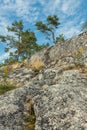Pines on a top of rocky cliff under blue cloudy sky on summer day on an island on Ladoga lake in Karelia shot from below Royalty Free Stock Photo