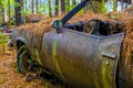 Pinestraw Covered Wreck Royalty Free Stock Photo