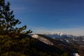 pinetree and mountains with snow while hiking in the spring